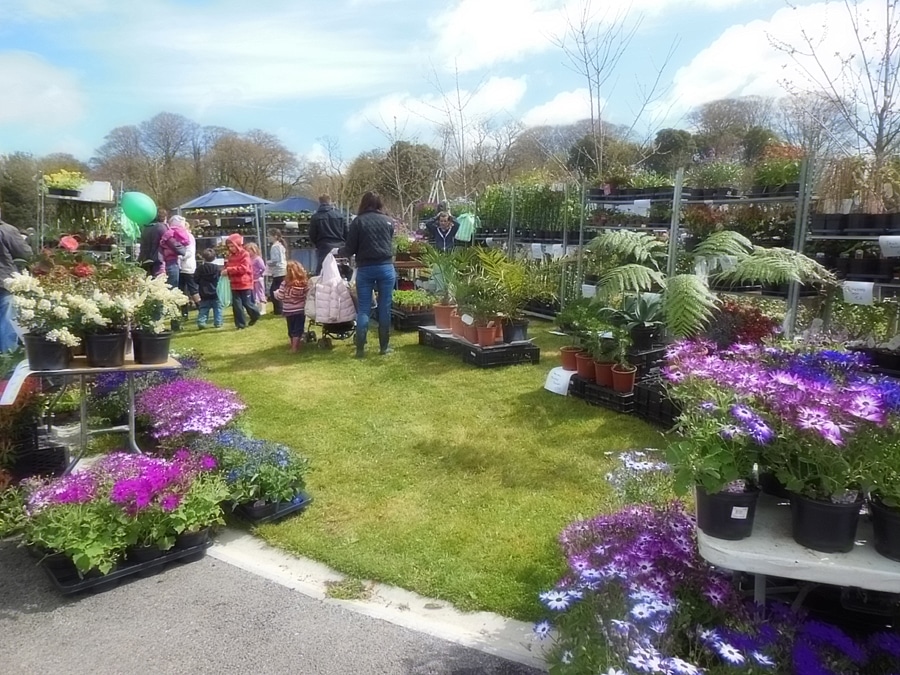 Fota House Plant and Garden Fair 2016 - Ring of Cork